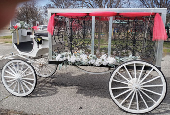 Glass Hearse