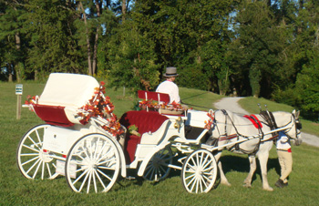 Windsor Castle Park