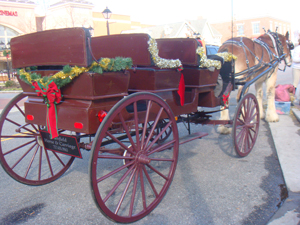 Surrey Horse Carriage