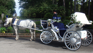 Princess Horse Carriage