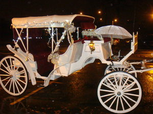 Princess Horse Carriage