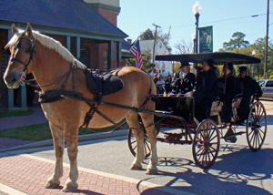 Surrey Horse Carriage